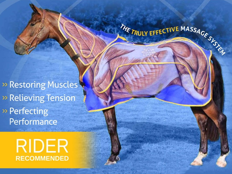 Cyclo-ssage Pro-Equine Ultimate Therapy System